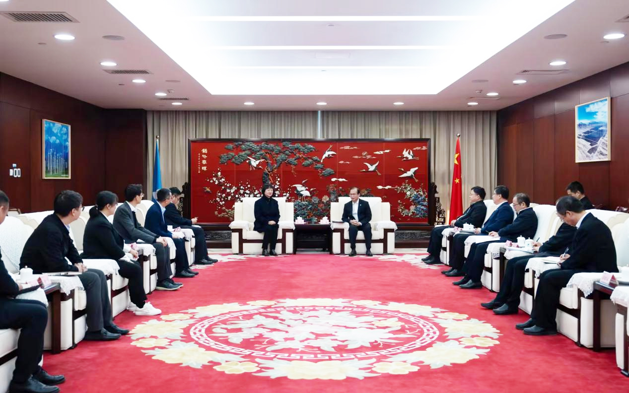 龙八国际股份董事长高玲造访中国华电董事长江毅