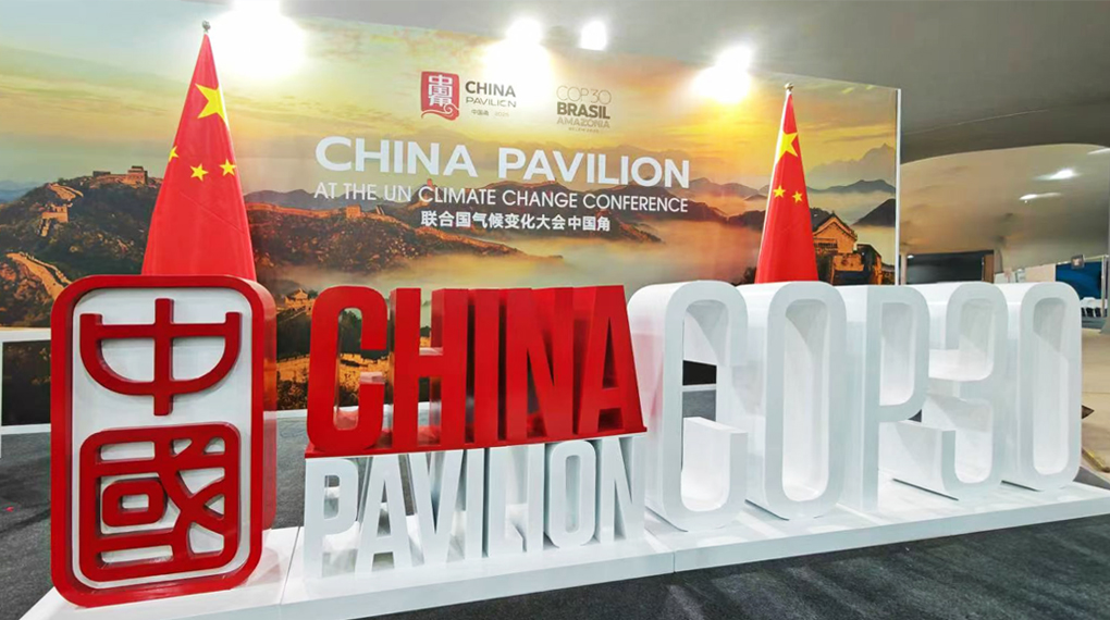 COP30的龙八国际之声：以国际化结构推动全球绿色能源转型
